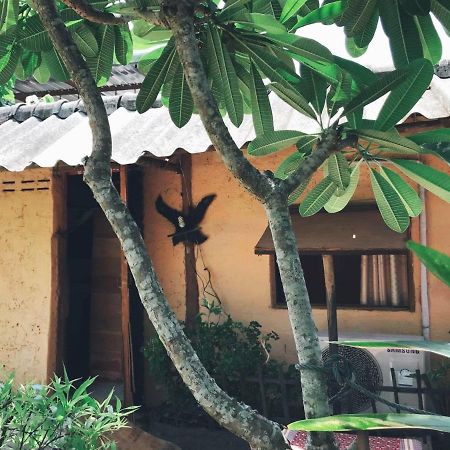 Tiddin Resort Chiang Mai Exterior foto